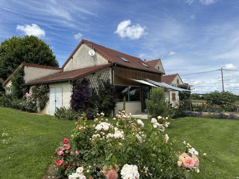 Gite De La Roseraie Louchy-Montfand Екстер'єр фото